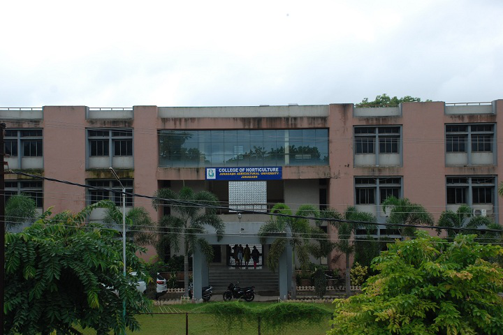Junagadh Agricultural University, Junagadh College of Horticulture Building of Junagadh Agricultural University Junagadh